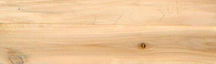 The TAXA Wood Gallery